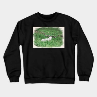 billy goat / Maléa is looking for the Kobold - children's book WolfArt Crewneck Sweatshirt